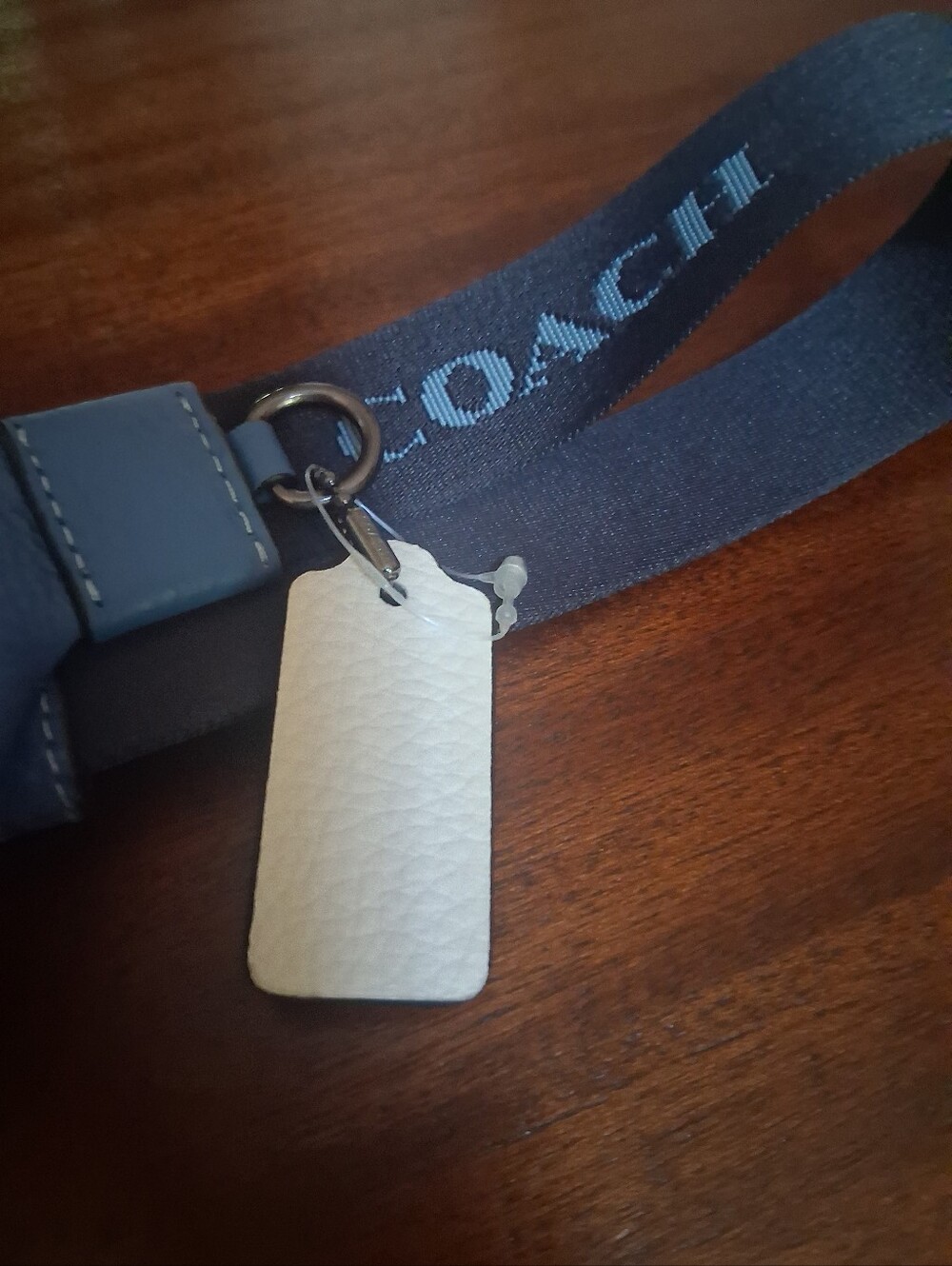Coach CE649 Sprint Belt Bag Sky Blue - Picture 5 of 11